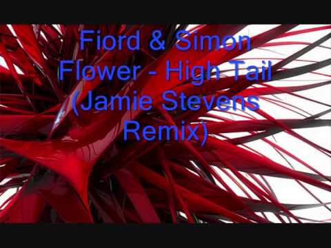 Fiord & Simon Flower - High Tail Jamie Stevens Remix.wmv