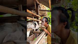 Download lagu Embe Aku Sayang Kamu😘 mp3