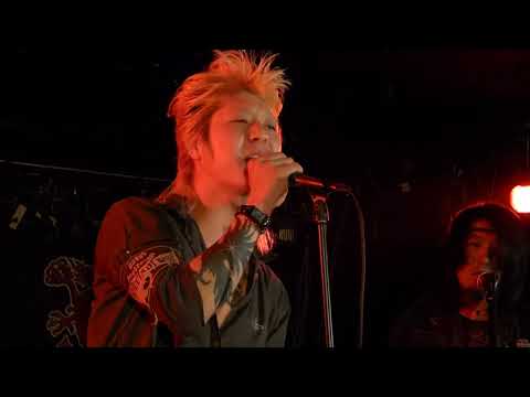 SYSTEM FUCKER - live @ Red Dragon Nagoya - Binge Drinker (UK) PISSED UP IN JAPAN TOUR 2019