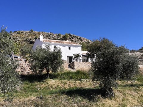 video image