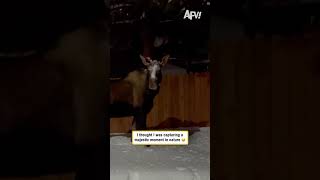 I thought I was capturing a majestic moment in nature 😅