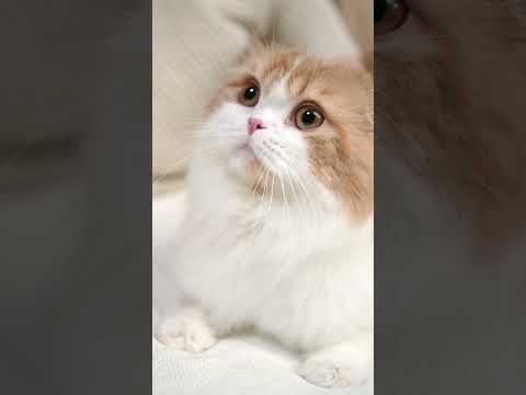 suvan Allah alhamdurella ❤❤❤