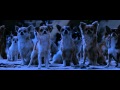 Крошка из Беверли Хиллз 