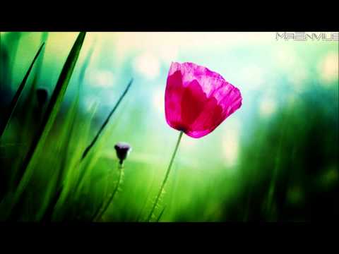 Asa & Stumbleine - Tourniquet feat. Shura & CoMa