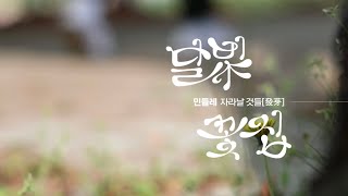 2026년 6월 다섯째 주 마디영상 이미지