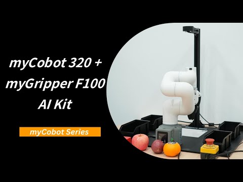 Robotic Manipulator Video