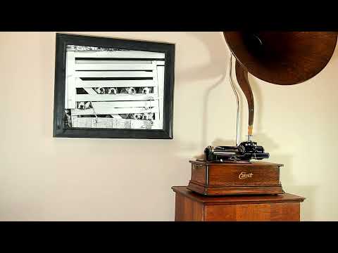 Foxtrot "The Arabian Yogi Man" Max Fells Della Robbia Dance Orch., Edison Blue Amberol Cylinder 4290