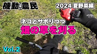 草取りが辛くてネコに逃げる人