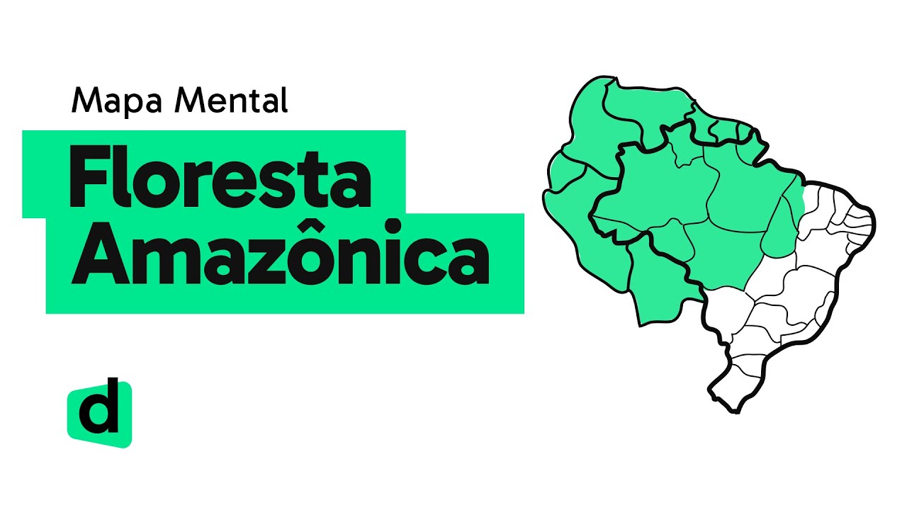 FLORESTA AMAZÔNICA | GEOGRAFIA | Mapa Mental | Quer Que Desenhe