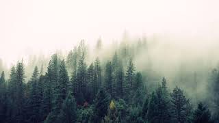 Download lagu 10 menit musik relaksasi untuk tidur - langsung tidur dalam 2 menit!!! mp3 Download lagu 10 menit musik relaksasi untuk tidur - langsung tidur dalam 2 menit!!! mp3