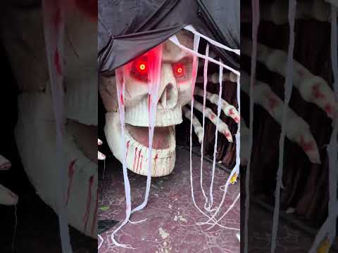 Lustige und interessante Trollvideos, die Sie nicht verpassen können.   162