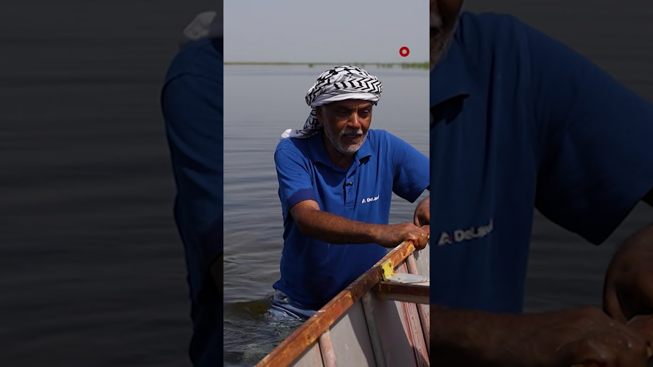 فيديو | استخراج ريزان عمره آلاف السنين من أهوار العراق | كلام الناس