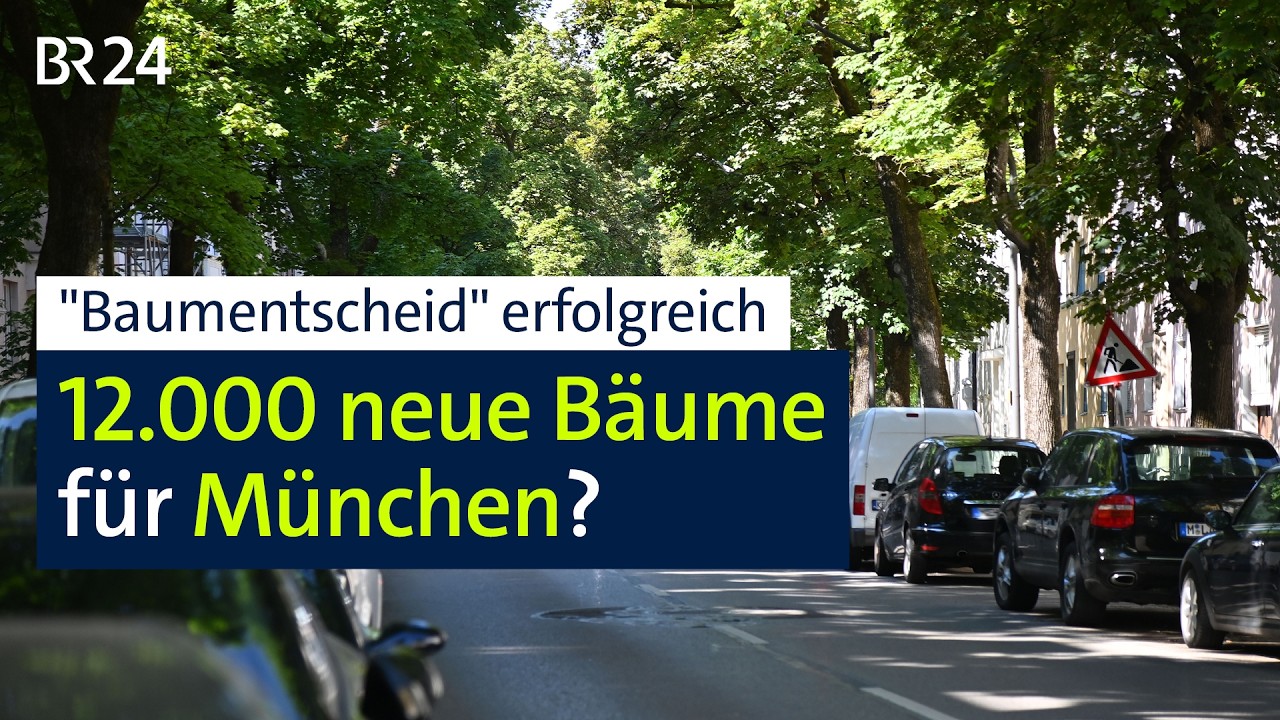 "Baumentscheid" erfolgreich: 12.000 neue Bäume für München? | BR24