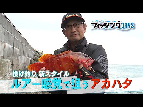 【フィッシングDAYS】#128 投げ釣り新スタイル　ルアー感覚で狙うアカハタ