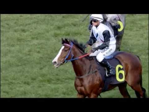 27/05/2016 - Race 2 - Wrecking Ball Mdn Plate - Calaway Cruizer