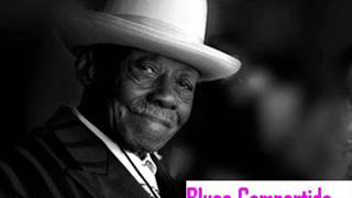 Pinetop Perkins - Madison Blues Festival,  Olin Park,  2002.