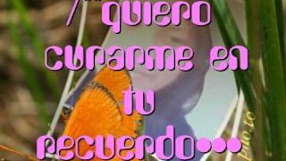 Kalimba - nunca  sabras.