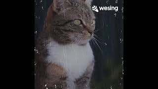 Download lagu Pangeran Suriansyah....mari kita lestarikan lagu Banjar mp3