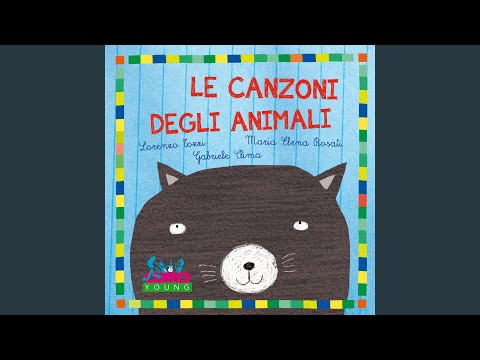 Il mio gatto ha nella pancia un motorino