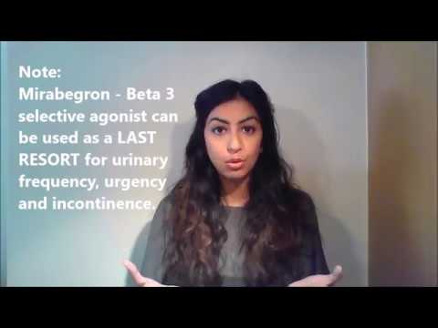 Genito Urinary System