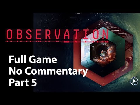 Observation | Part 5 | No Commentary