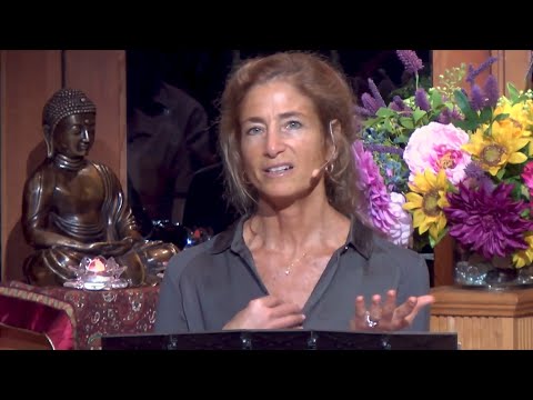 Tara Talks: Remembering the Gold