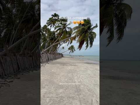 Vem pra Maragogi? Quer passeios 🔥 62992360124 #alagoas #maceio #maragogi #nordeste