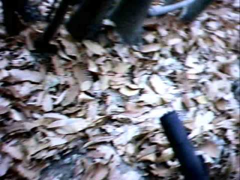 Grignasco punisce il Pirz