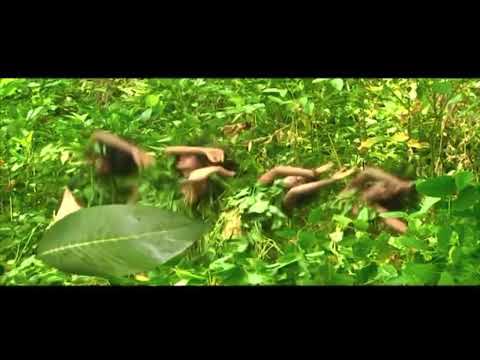 ወንድዬ አበበ ጋሞ ጎፋ ሙዚቃ ኮንታ  Ethiopia music Wondiye Abebe  ጨበራ ጩርጩራ ( chebera churchira)