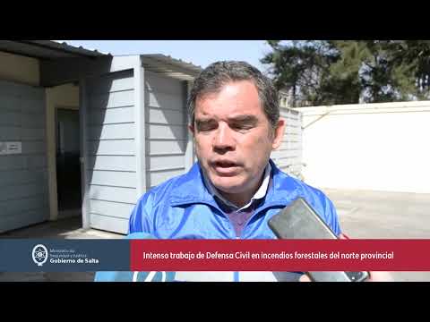 Intenso trabajo Defensa Civil en incendios forestales en el norte provincial