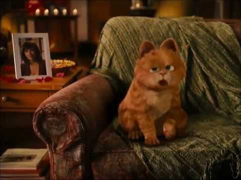 The Animal Book Trailer