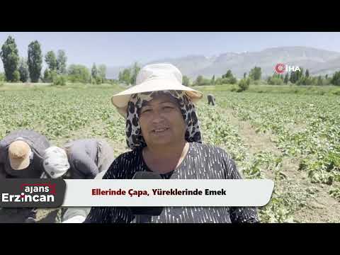 Ellerinde Çapa, Yüreklerinde Emek