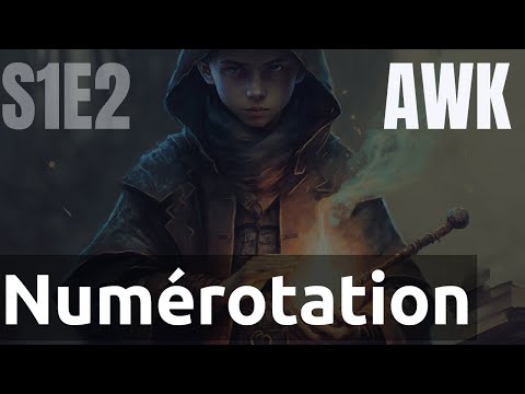 Scripts 1 2 AWK numéro de champs NF de lignes NR et END | tutos fr