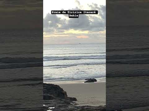 Domingo de marola em Itacaré na Bahia! 26.7.26 #itacare #surfreport