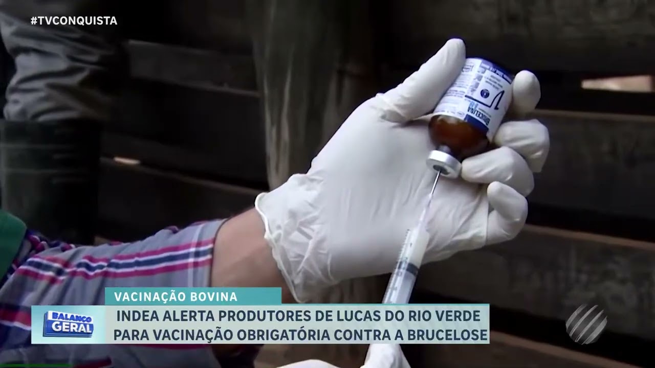 INDEA alerta: prazo da vacinação contra brucelose termina em 30 de junho