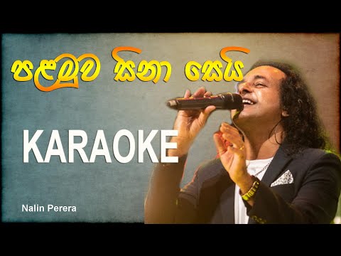 Palamuwa Sinasei karaoke | with lyrics | without voice | Nalin Perera