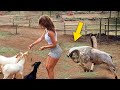 TOTAL IDIOTS AT WORK! Top Funny Compilation 2024 - Top Funny Fail Compilation #151