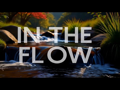 In The Flow - Nikola Starčević