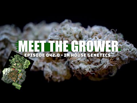 In House Genetics - Meet the Grower Ep. 042.0 - The Elite Series #marshydro #oneworldoneplant