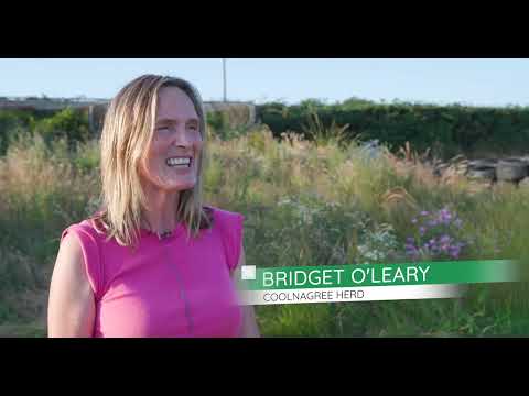 IHFA Breeder Profiles - Seamus O'Leary - Coolnagree Herd