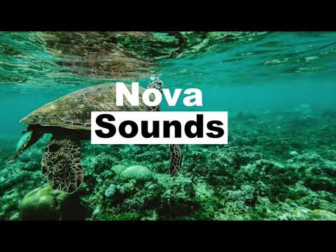 Forget Your Name - spring gang feat. Vincent Vega