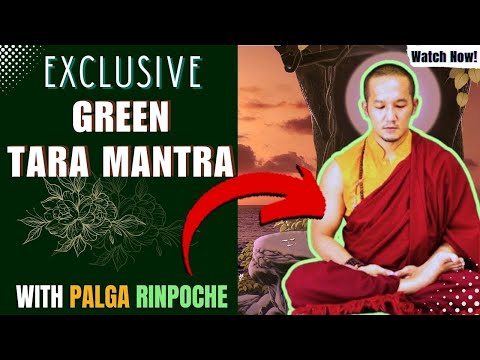 Green Tara Mantra: Om Tare Tuttare Ture Soha chanting with Palga Rinpoche 108 Times