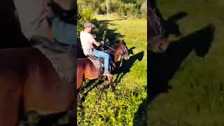 Rancho do rincon. rs