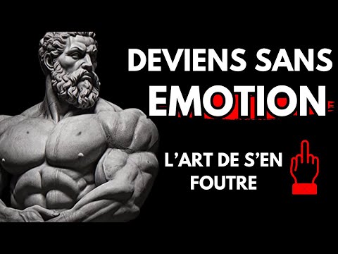 6 Régles Stoiques  Pour Devenir Insensible et Controler vos émotions