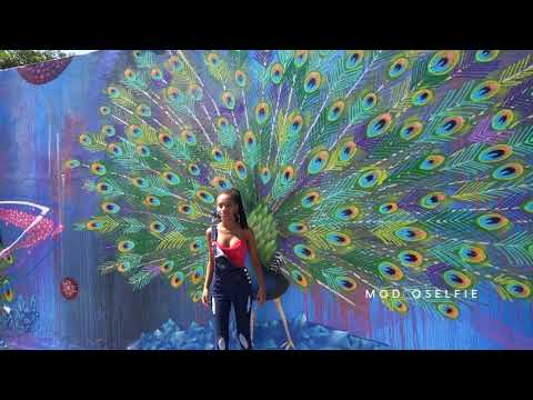 Modo Selfie en Cartagena