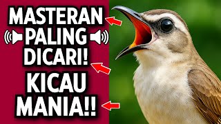 Download lagu MASTERAN TRUCUKAN TERBUKTI AMPUH: Ropel Ngalas Bikin Burung Gacor & Nyaut! mp3