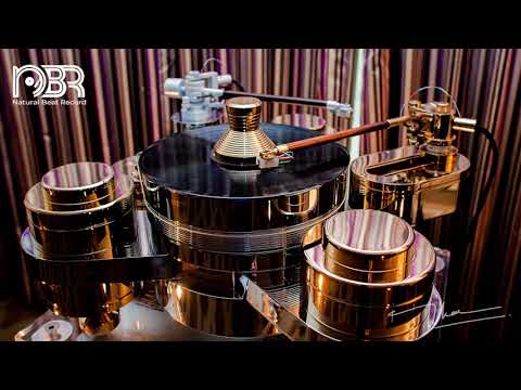 Audiophile Music collection 2021 - Audio Reference - Audiophile NBR Music