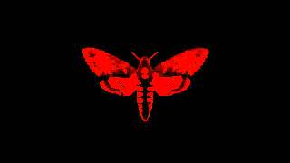 Lil Wayne - Beat The Shit