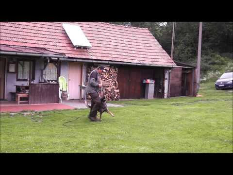 Heike ze Stříbrného kamene