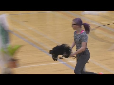 Hobby Horsing in Finland: Competitive riding without a horse – with lots of enthusiasm